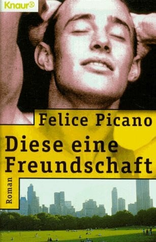 Diese eine Freundschaft (Knaur Taschenbücher. Romane, Erzählungen)