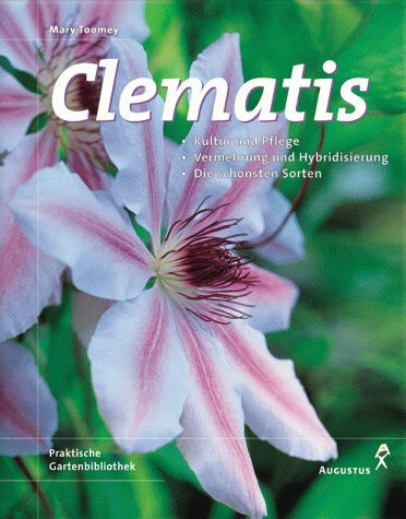 Clematis
