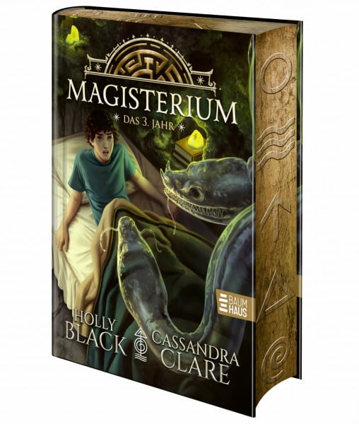 Magisterium - Das 3. Jahr: Magische Schulgeschichte für junge Leser:innen ab 10 Jahren - Spaß und Spannung garantiert. Band 3