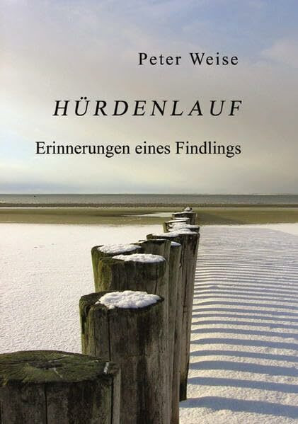 Hürdenlauf: Erinnerungen eines Findlings