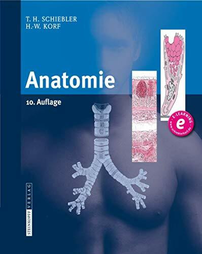 Anatomie: Histologie, Entwicklungsgeschichte, makroskopische und mikroskopische Anatomie, Topographie