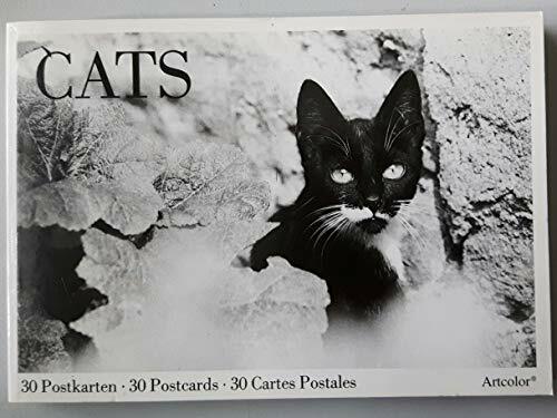 Cats: 30 Postkarten - 30 Postcards - 30 Cartes Postales Cats: 30 Postkarten - 30 Postcards - 30 Cartes Postales