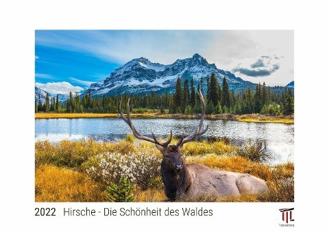 Hirsche - Die Schönheit des Waldes 2022 - White Edition - Timokrates Kalender, Wandkalender, Bildkalender - DIN A4 (ca. 30 x 21 cm)