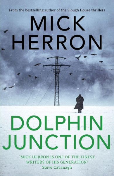 Dolphin Junction
