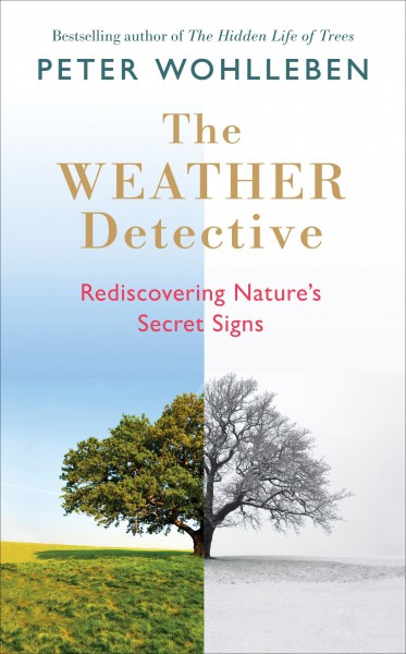 The Weather Detective