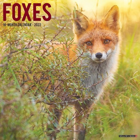 Foxes 2022 Wall Calendar