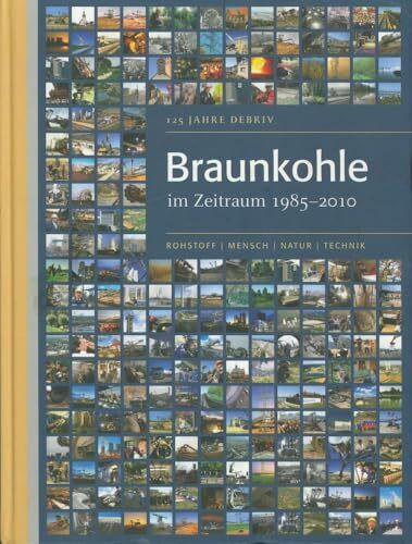 Braunkohle im Zeitraum 1985-2010: 125 Jahre DEBRIV: 125 Jahre DEBRIV. Hrsg.: Deutscher Braunkohlen-Industrie-Verein e. V.