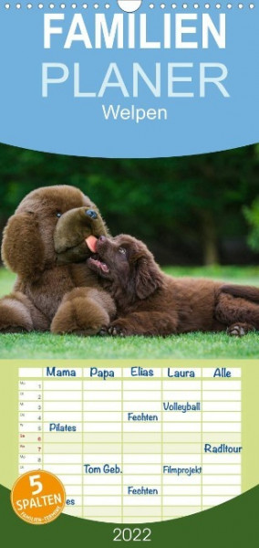 Welpen 2022 (Wandkalender 2022 , 21 cm x 45 cm, hoch)