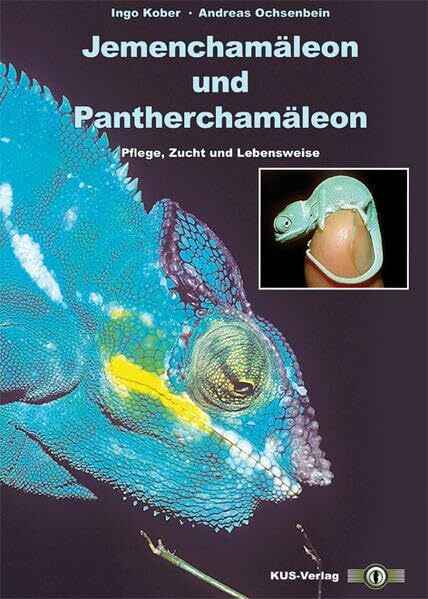Jemenchamäleon und Pantherchamäleon: Pflege, Zucht und Lebensweise: Pflege, Fortpflanzung und Lebensweise