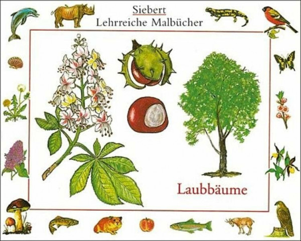 Laubbäume: Malbuch. Verkaufseinheit (Siebert lehrreiche Malbücher)