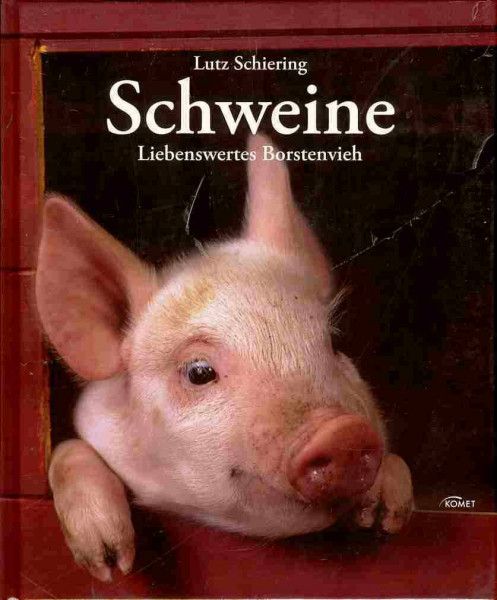 Schweine: Liebenswertes Borstenvieh