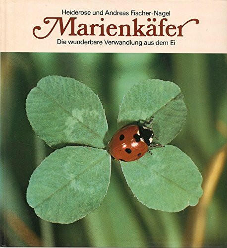 Marienkäfer. Die wunderbare Verwandlung aus dem Ei