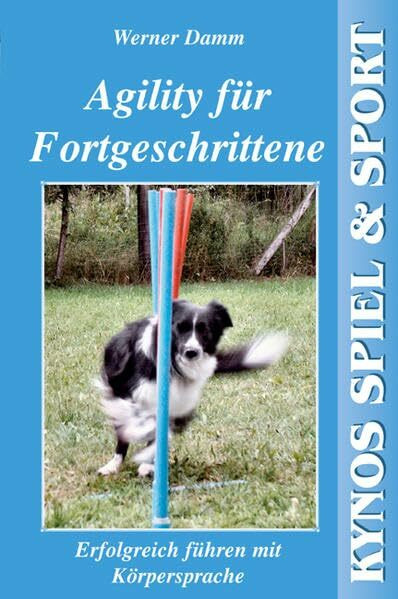 Agility für Fortgeschrittene: Erfolgreich führen mit Körpersprache
