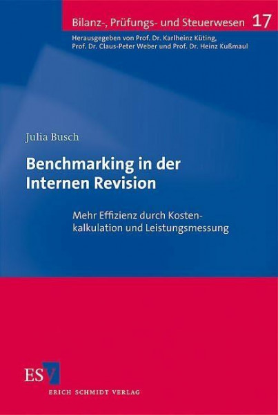 Benchmarking in der Internen Revision: Mehr Effizienz durch Kostenkalkulation und Leistungsmessung (Bilanz-, Prüfungs- und Steuerwesen)