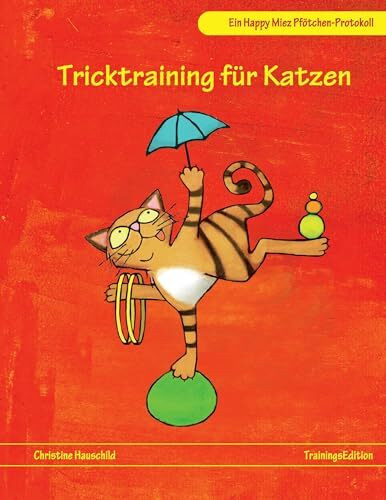 Tricktraining für Katzen: Ein Happy Miez Pfötchen-Protokoll