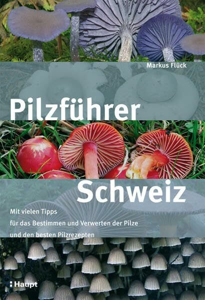 Pilzführer Schweiz: Mit vielen Tipps fürs Bestimmen und Verwerten und den besten Pilzrezepten