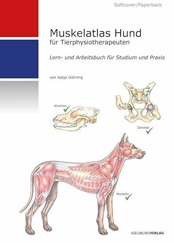 Muskelatlas Hund (Softcover): Lern- und Arbeitsbuch für Tierphysiotherapeuten