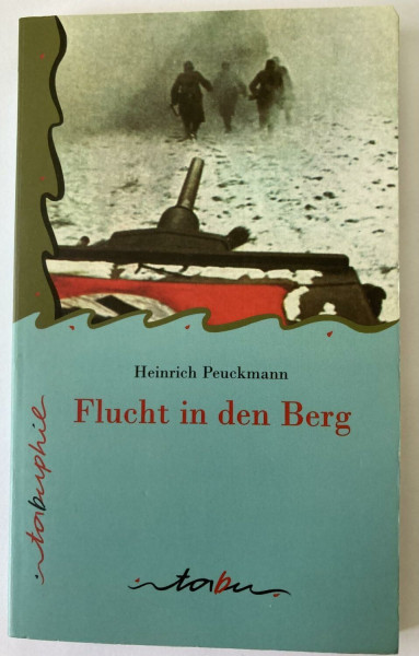 Flucht in den Berg: Roman