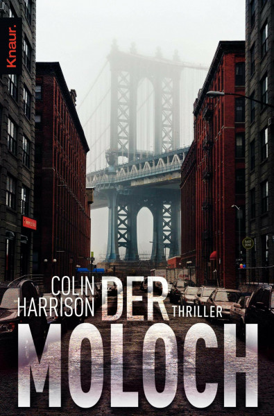 Der Moloch: Thriller