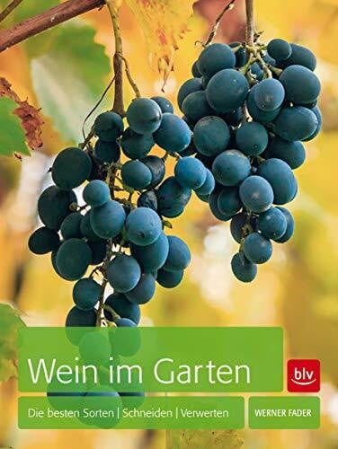 Wein im Garten: Die besten Sorten - Schneiden - Verwerten