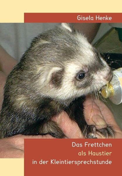 Das Frettchen als Haustier in der Kleintiersprechstunde