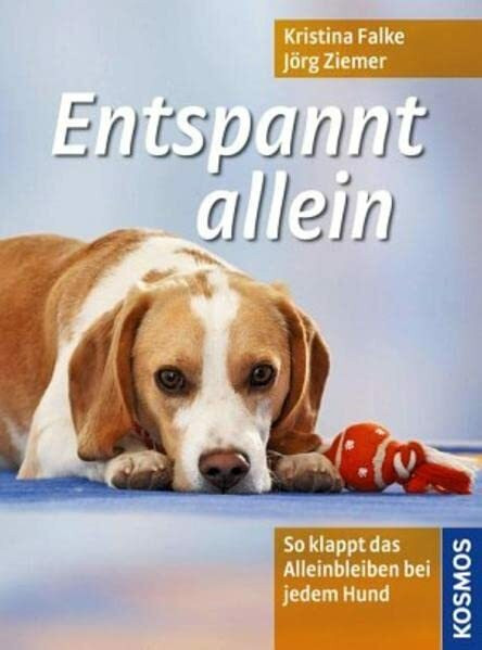 Entspannt allein: So klappt das Alleinbleiben bei jedem Hund