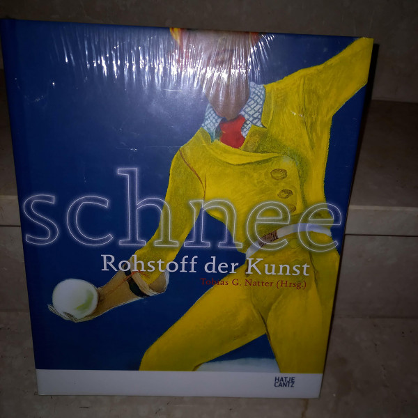 Schnee: Rohstoff der Kunst: Katalog zur Ausstellung im Vorarlberger Landesmuseum, Bregenz, und Museum Huber Hus, Lech am Arlberg, 2009