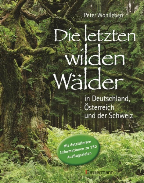 Die letzten wilden Wälder in Deutschland, Österreich und der Schweiz