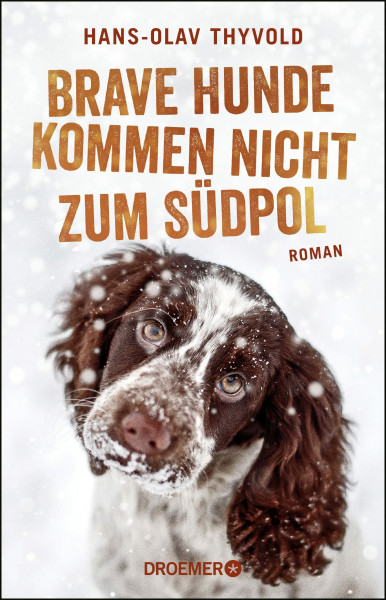 Brave Hunde kommen nicht zum Südpol: Roman