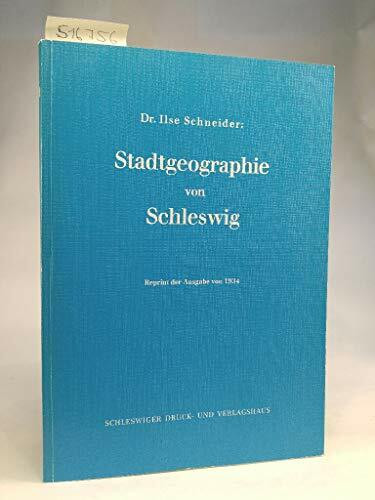 Stadtgeographie von Schleswig