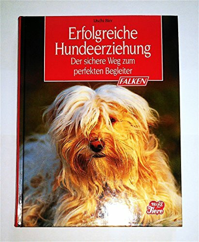 Erfolgreiche Hundeerziehung