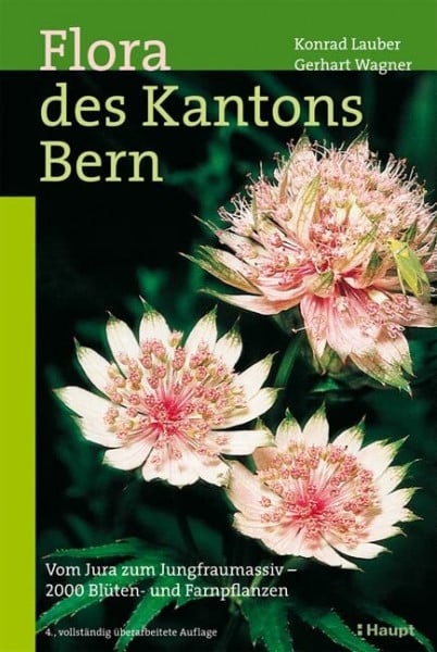 Flora des Kantons Bern: Vom Jura zum Jungfraumassiv - 2000 Blüten- und Farnpflanzen