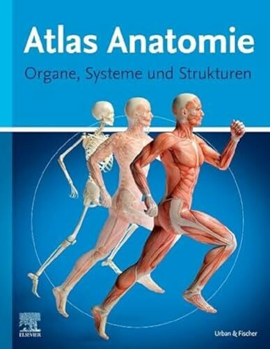 Atlas Anatomie für Laien: Organe, Systeme und Strukturen
