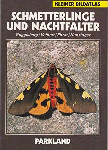 Schmetterlinge und Nachtfalter