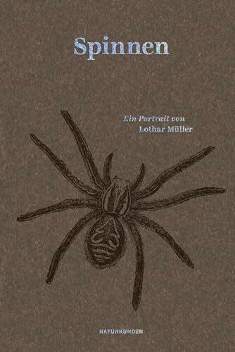 Spinnen: Ein Portrait (Naturkunden)