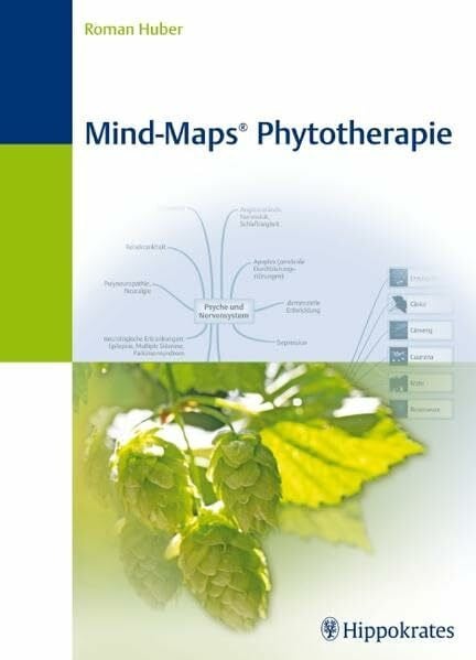 Mind-Maps Phytotherapie