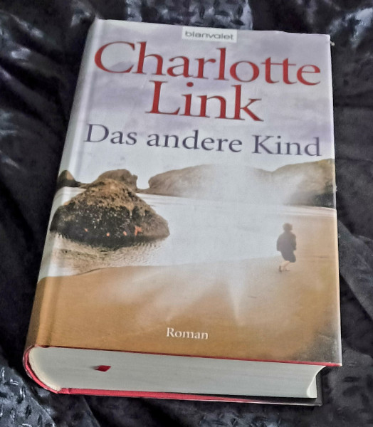 Das andere Kind: Roman