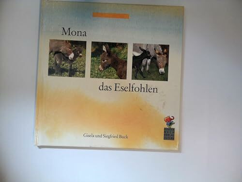 Mona, das Eselfohlen.