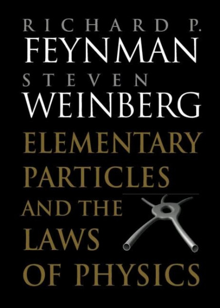 Elementary Particles and the Laws of Physics