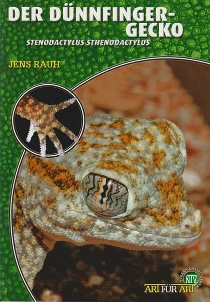 Der Dünnfingergecko: Stenodactylus sthenodactylus: Stenodactylus stenodactylus (Buchreihe Art für Art Terraristik)