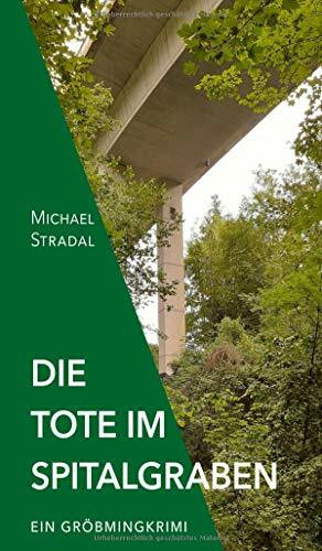 Die Tote im Spitalgraben: Ein Gröbmingkrimi