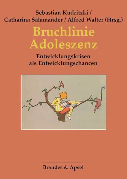 Bruchlinie Adoleszenz: Entwicklungskrisen als Entwicklungschancen