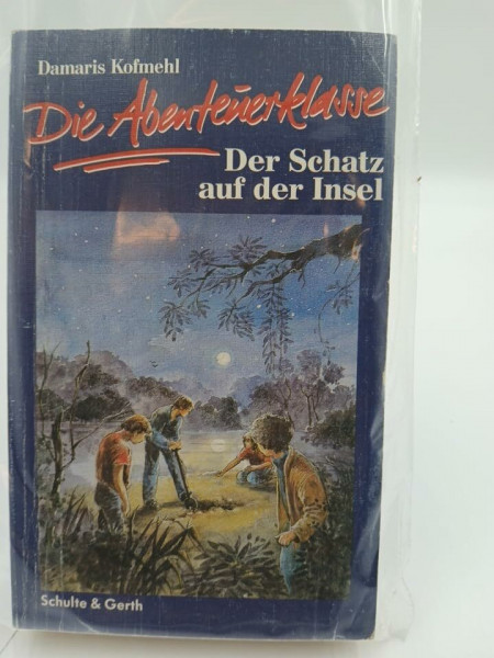 Die Abenteuerklasse, Band 3: Der Schatz auf der Insel