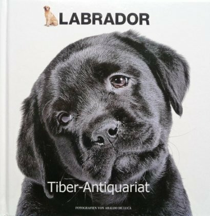 LABRADOR - Fotografien von Araldo De Luca