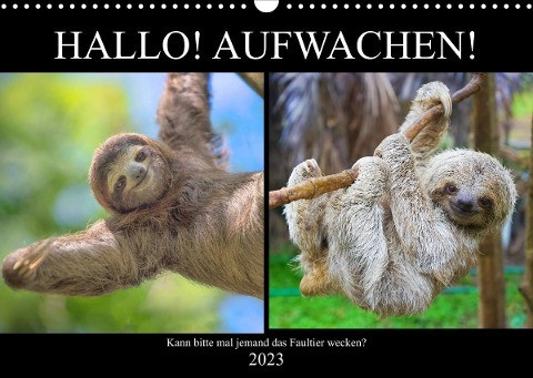 Hallo! Aufwachen! Kann bitte mal jemand das Faultier wecken? (Wandkalender 2023 DIN A3 quer)