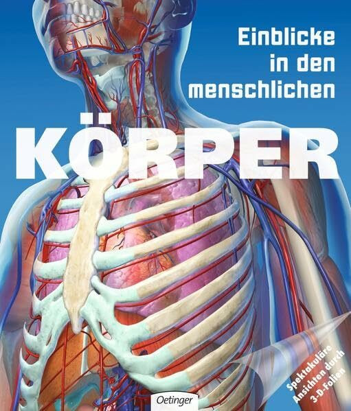 Einblicke in den menschlichen Körper