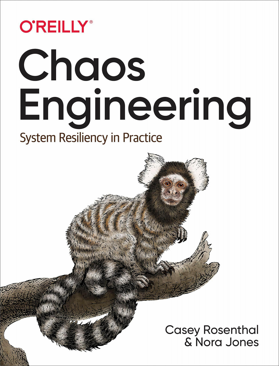 O'Reilly Media Chaos Engineering, System Resiliency In Practice