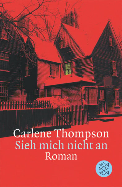 Sieh mich nicht an: Krimi: Roman (Fischer Taschenbücher)