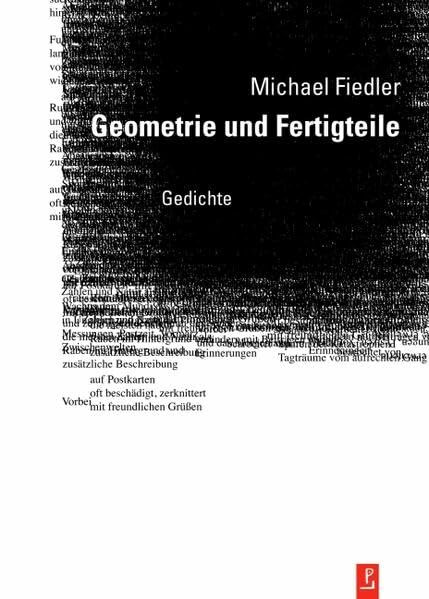 Geometrie und Fertigteile: Gedichte (Reihe Neue Lyrik)