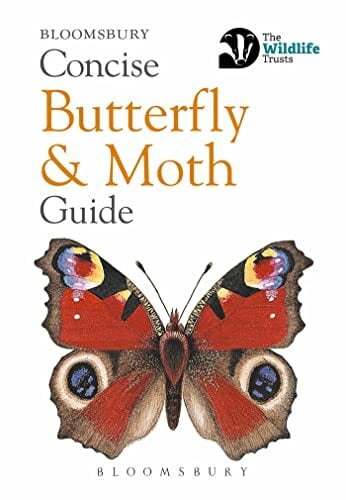 Concise Butterfly and Moth Guide (Concise Guides) Concise Butterfly and Moth Guide (Concise Guides)